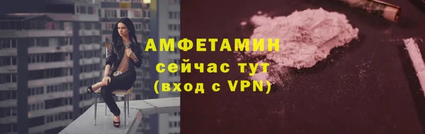 шишки Беломорск