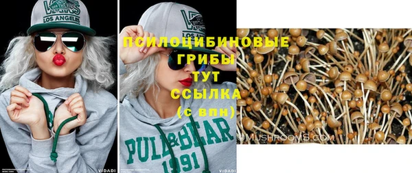 шишки Беломорск