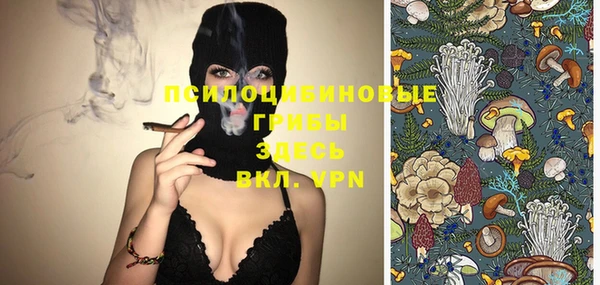 шишки Беломорск