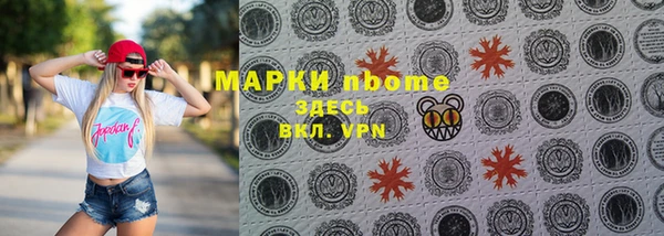 шишки Беломорск