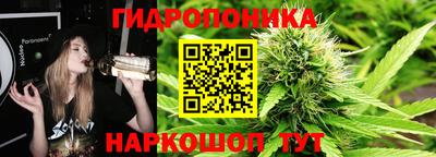 гидропоника Дубна