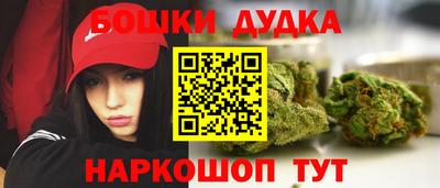 гидропоника Дубна