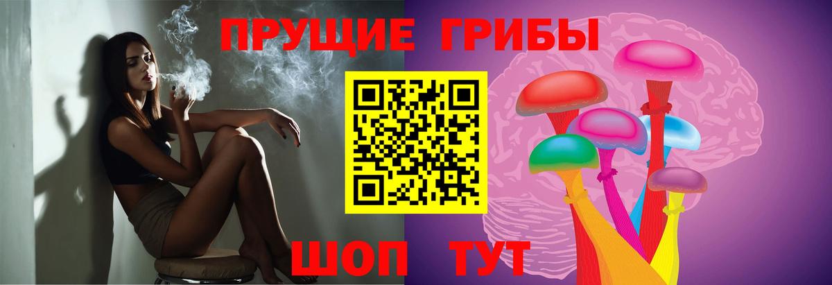 Лыткарино  Псилоцибиновые грибы GOLDEN TEACHER  Вход с VPN 
